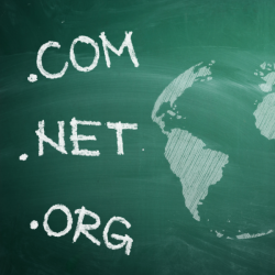Domain Satın Alma Rehberi